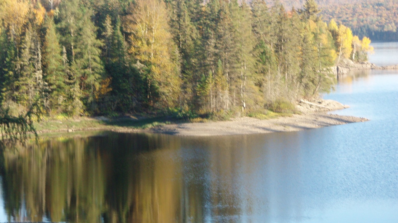 Photo of Others in Pittsburg