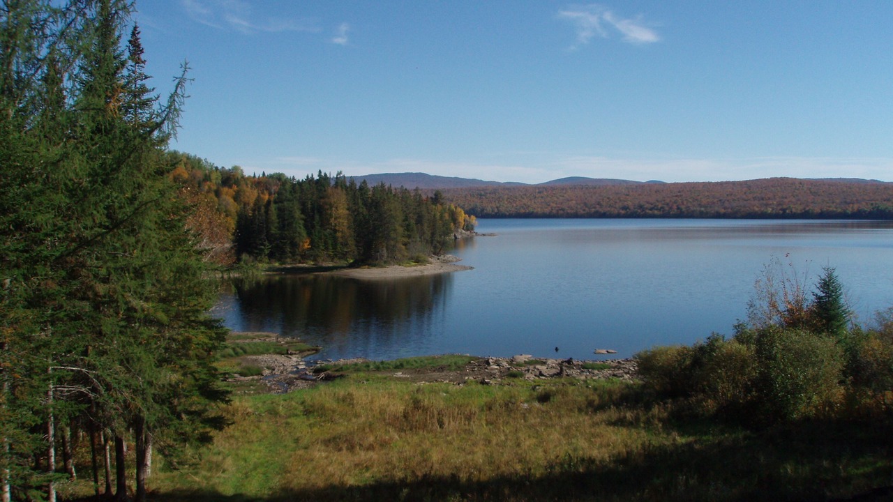 Photo of Others in Pittsburg