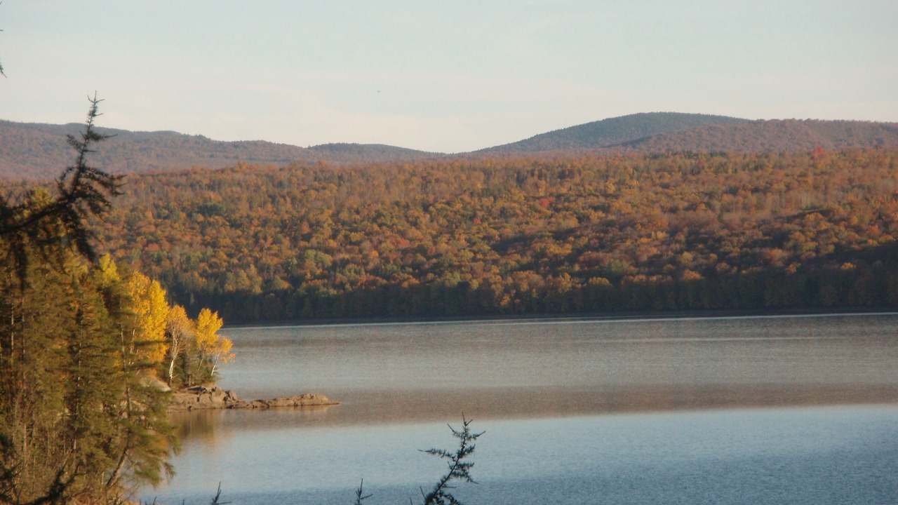 Photo of Others in Pittsburg