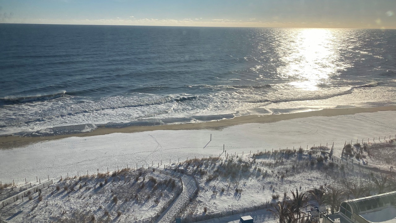Photo of Others in North Ocean City