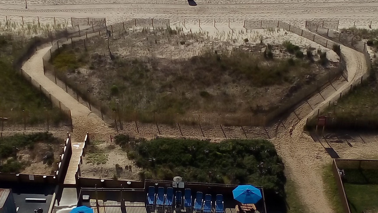 Photo of Outdoor in North Ocean City