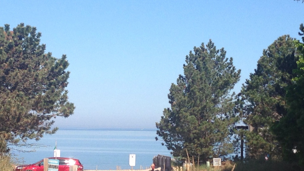 Photo of Others in South Haven