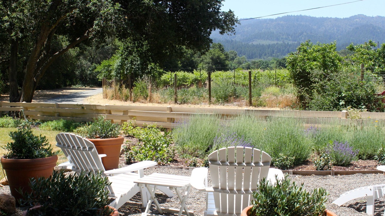 Photo of Others in Calistoga