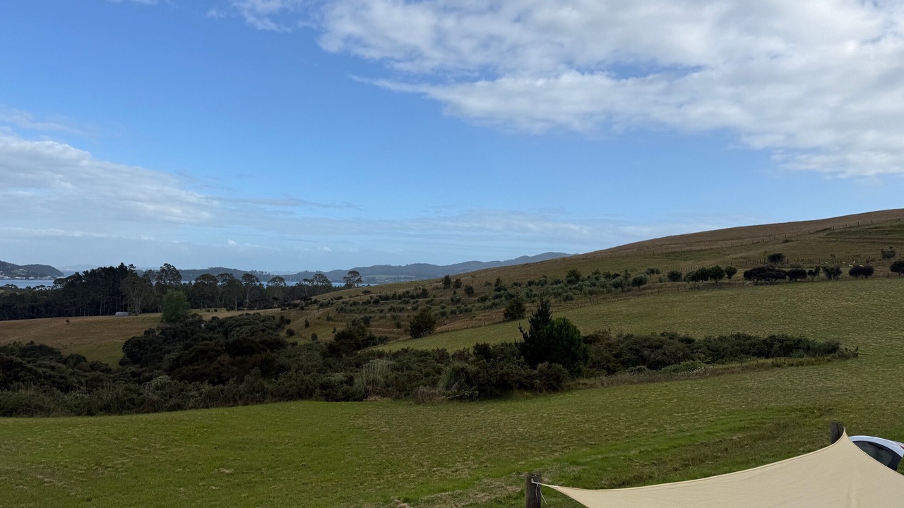 Photo of Others in Mangonui