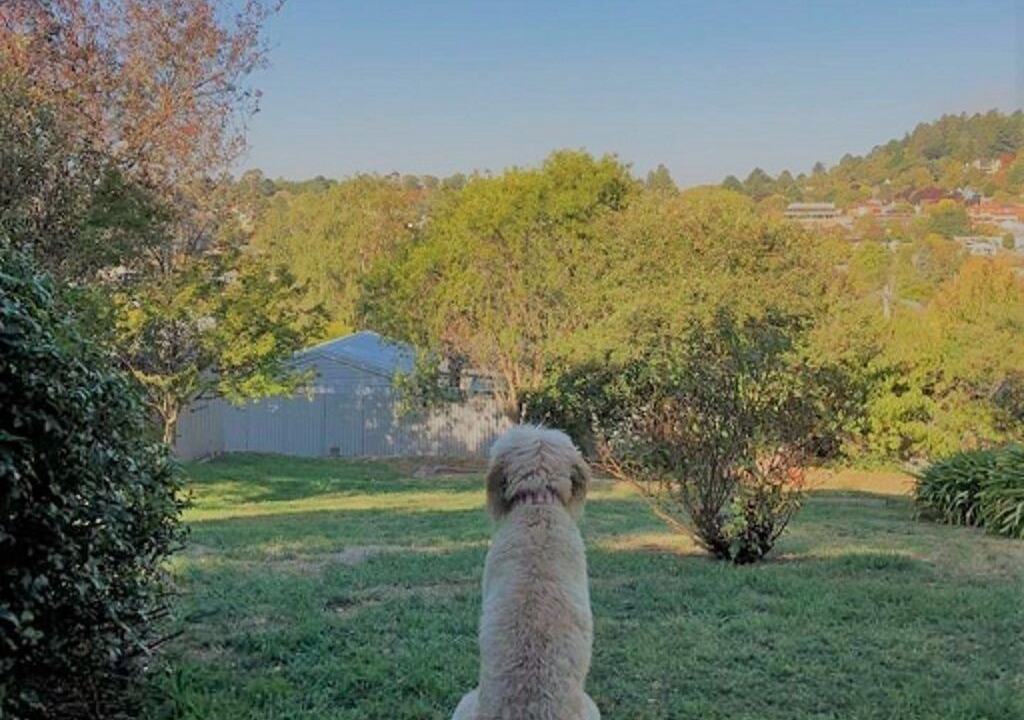 Photo of Others in Daylesford