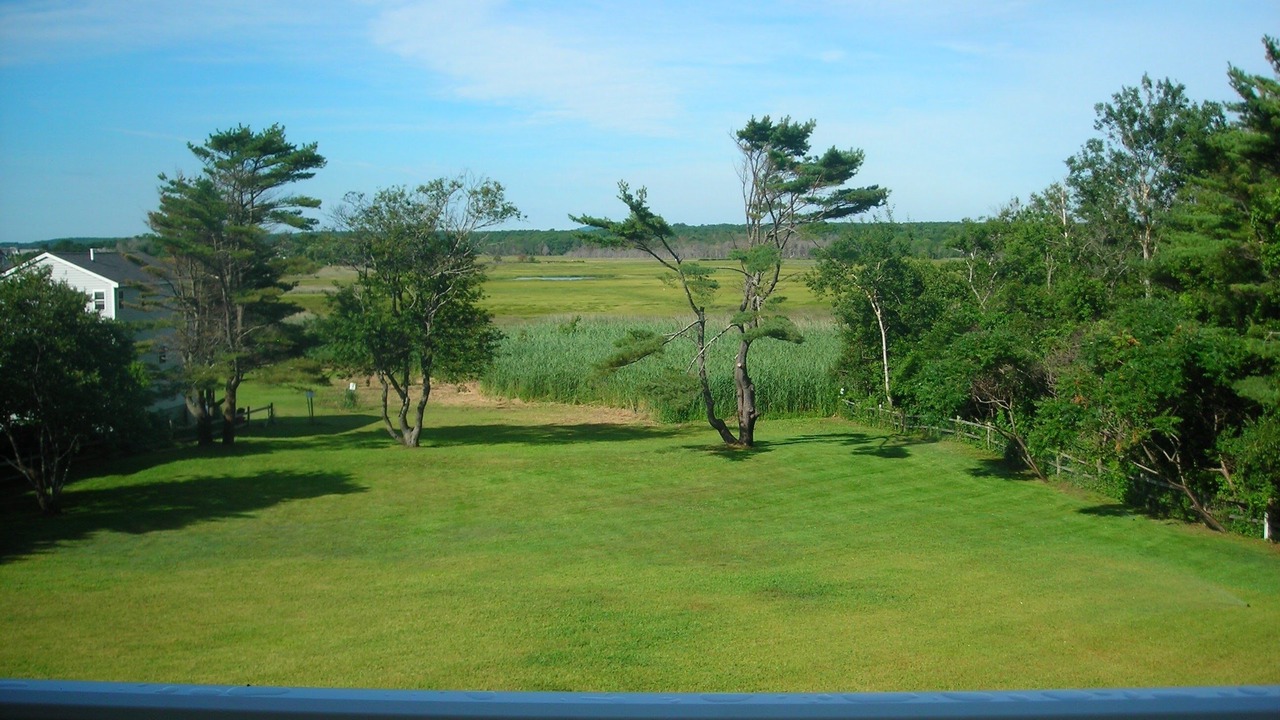 Photo of Others in Wells