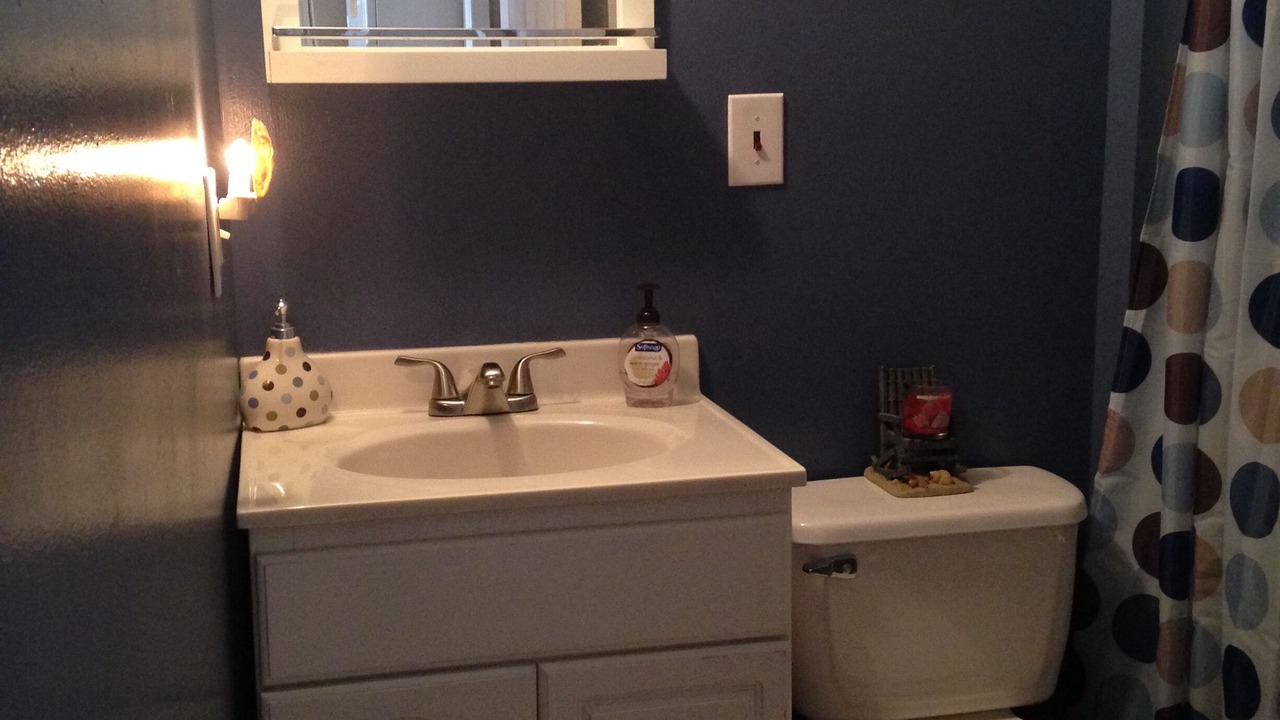 Photo of Bathroom in Romulus