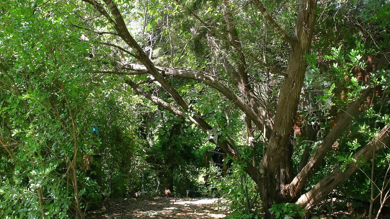 Photo of Outdoor in Leakey