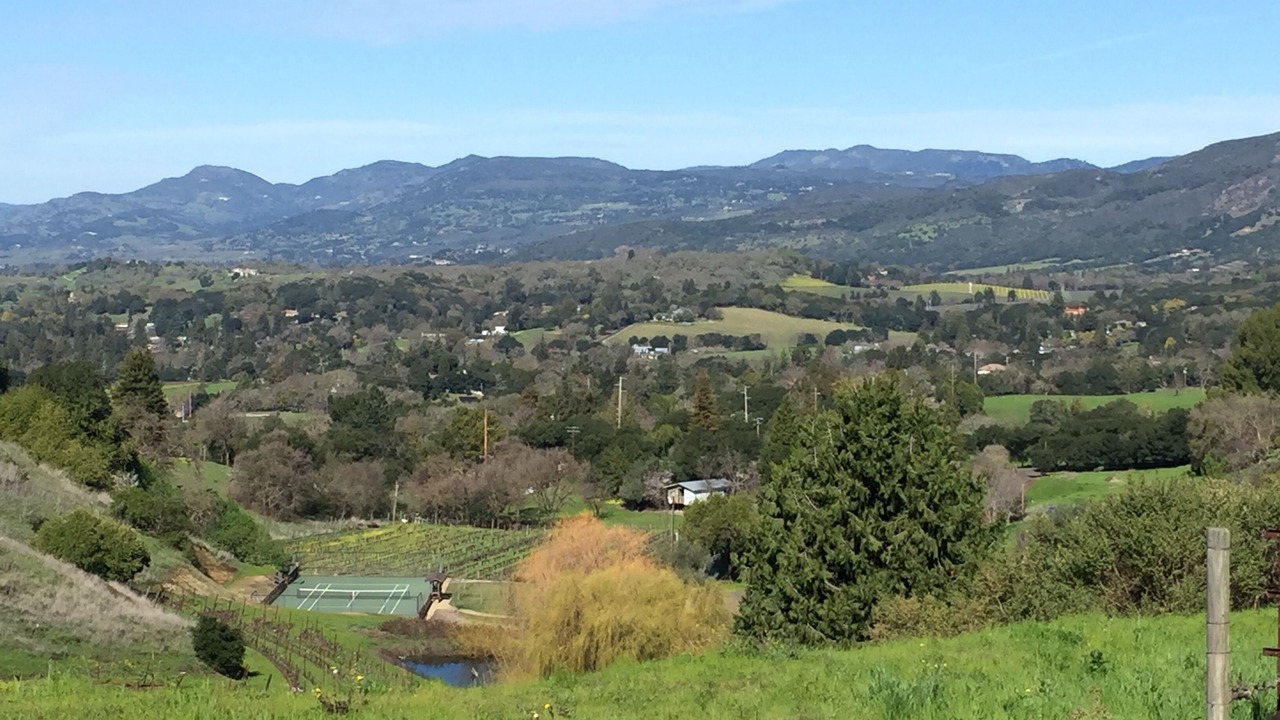 Photo of Others in Napa