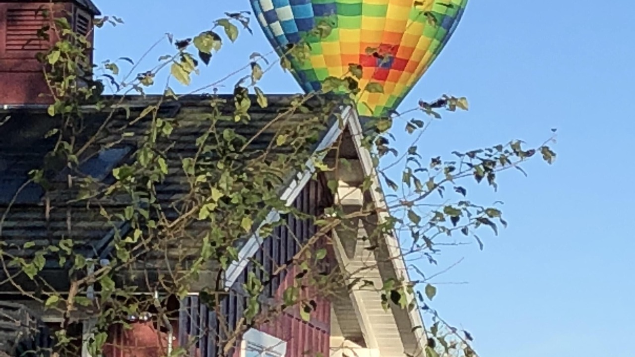 Photo of Outdoor in Napa