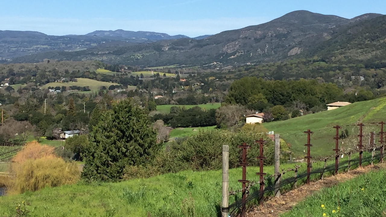 Photo of Outdoor in Napa