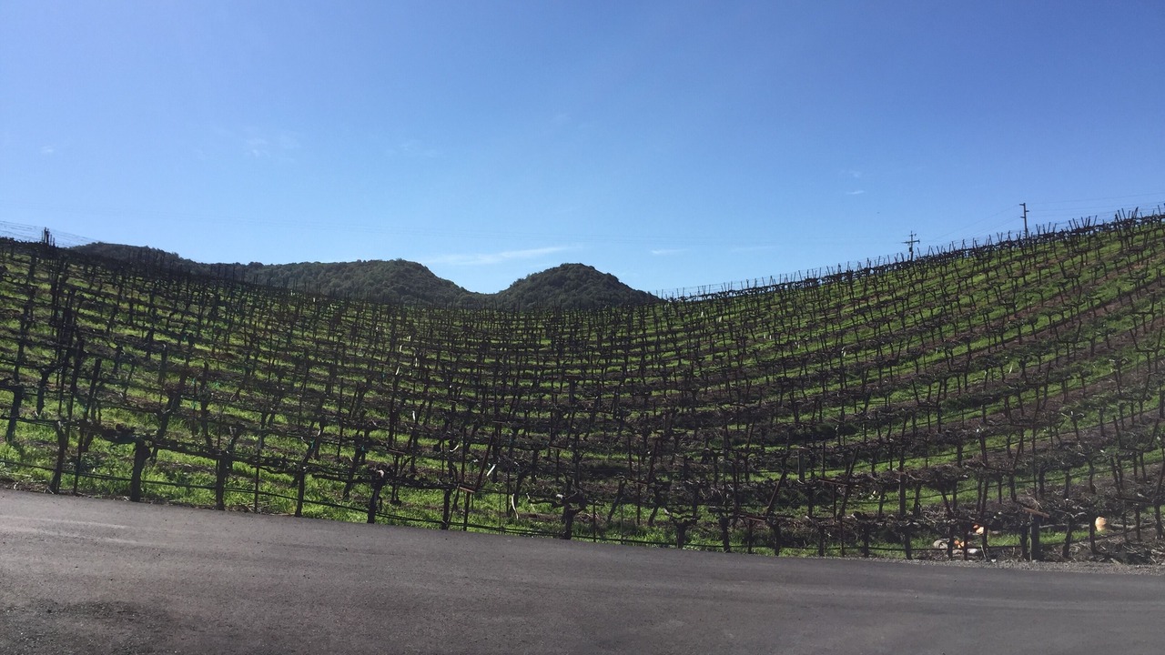 Photo of Outdoor in Napa