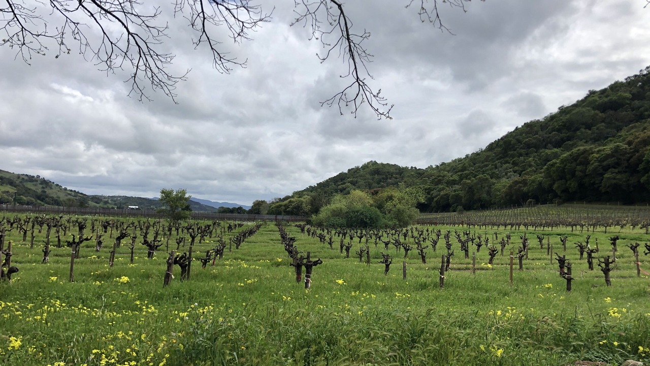Photo of Outdoor in Napa