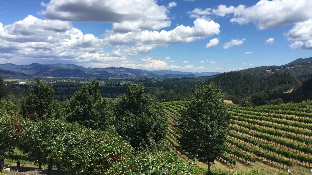 Photo of Outdoor in Napa