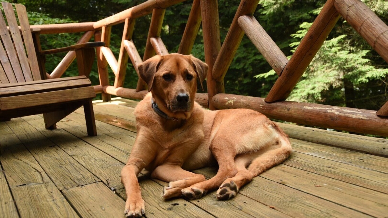 Photo of Others in Schroon Lake