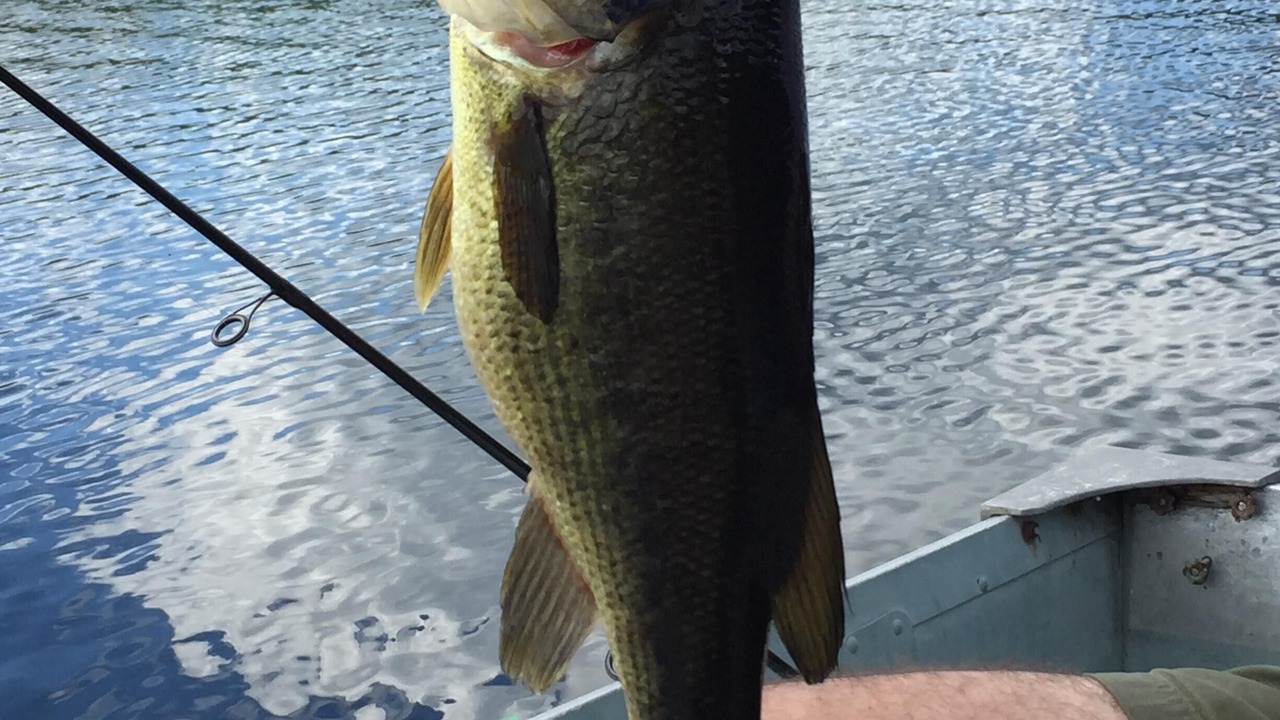Photo of Others in Schroon Lake