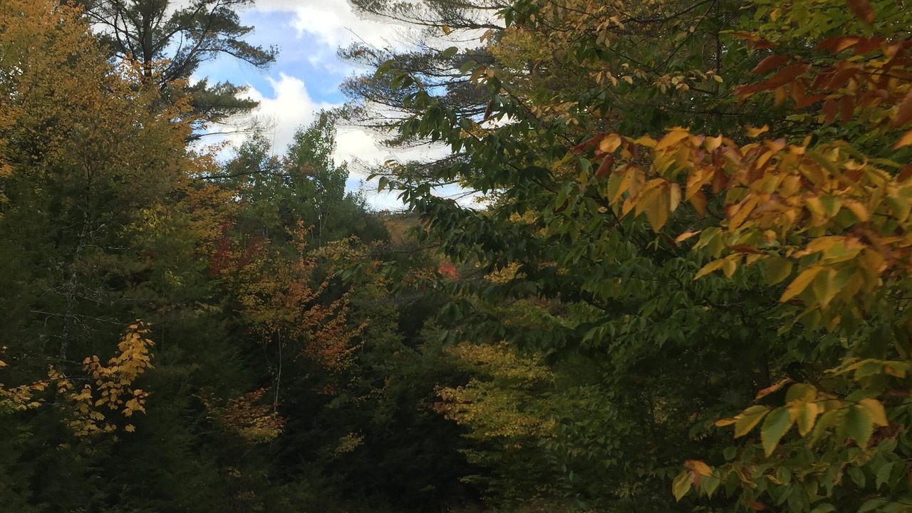 Photo of Others in Schroon Lake