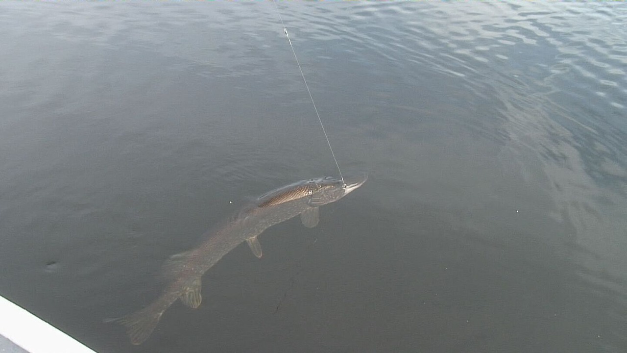 Photo of Others in Schroon Lake
