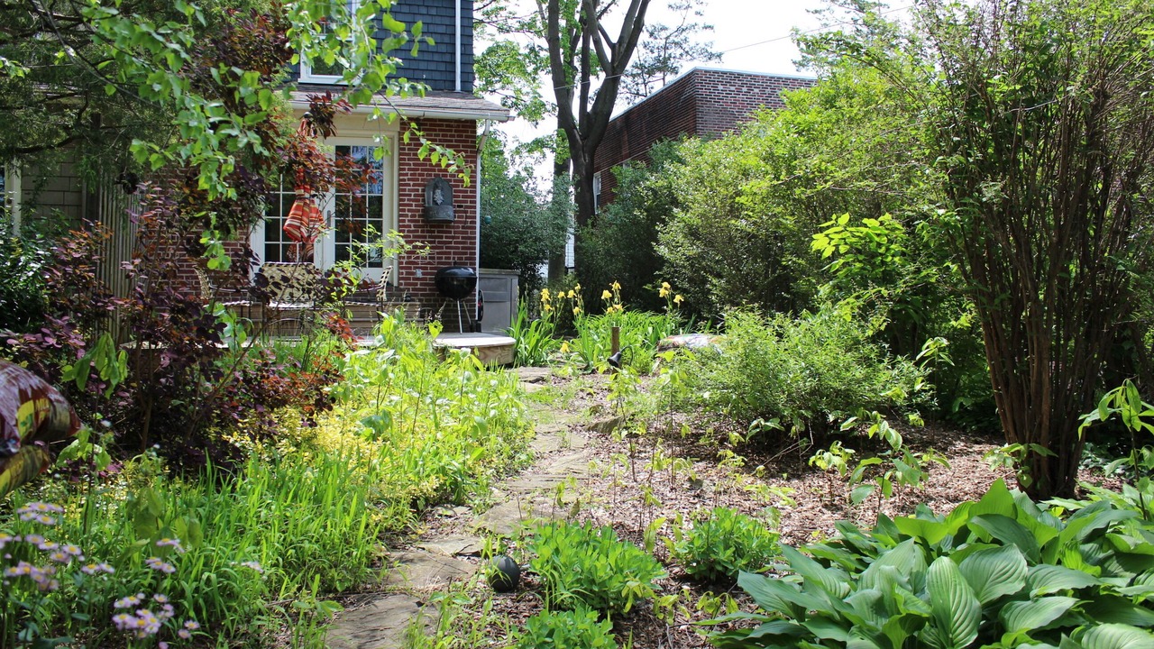 Photo of Outdoor in Bryn Mawr