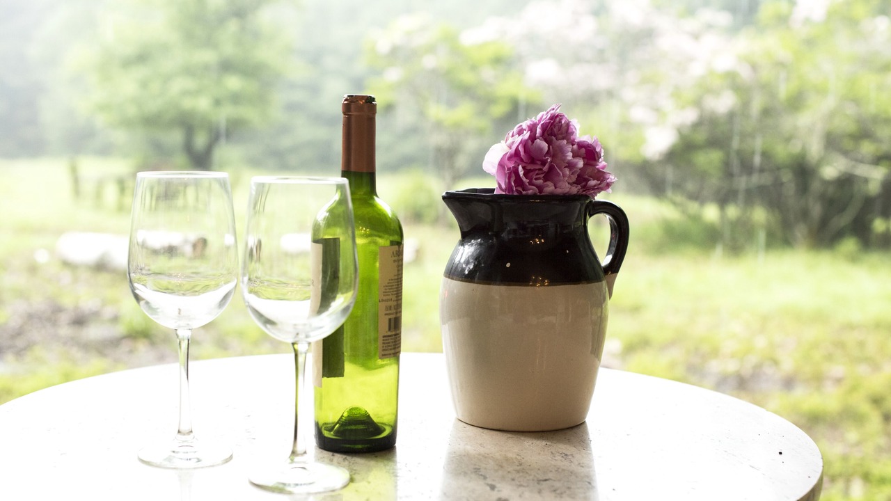 Photo of Others in Willow