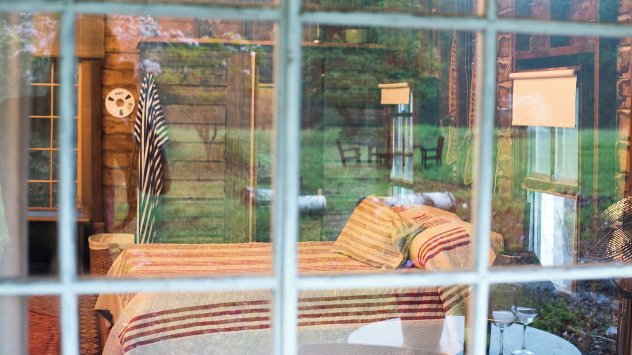 Photo of Outdoor in Willow