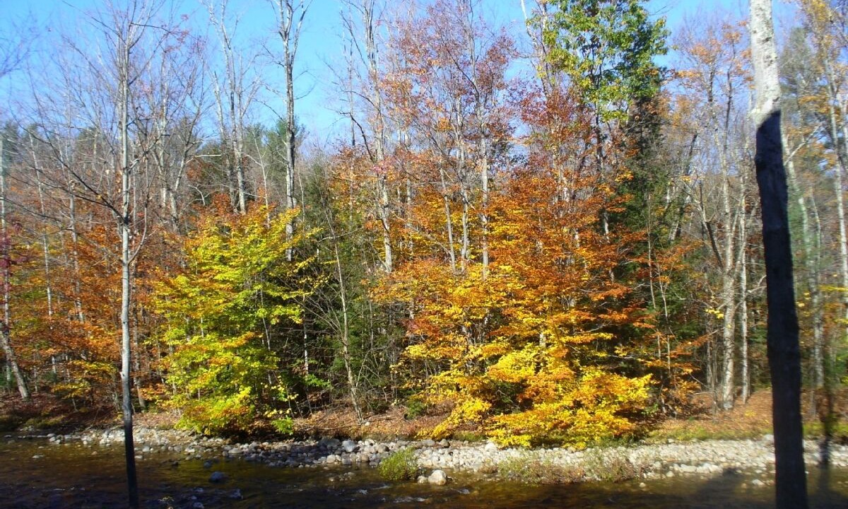 Photo of Others in North Woodstock