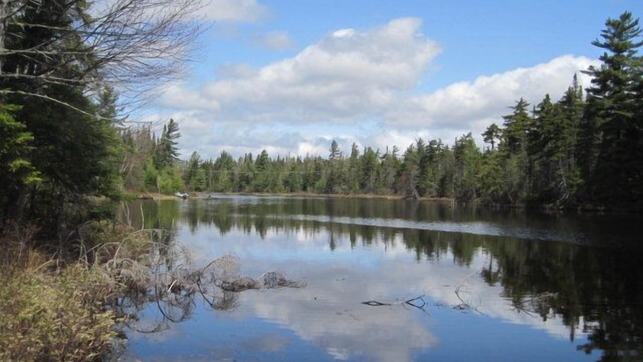 Photo of Outdoor in Lake Clear