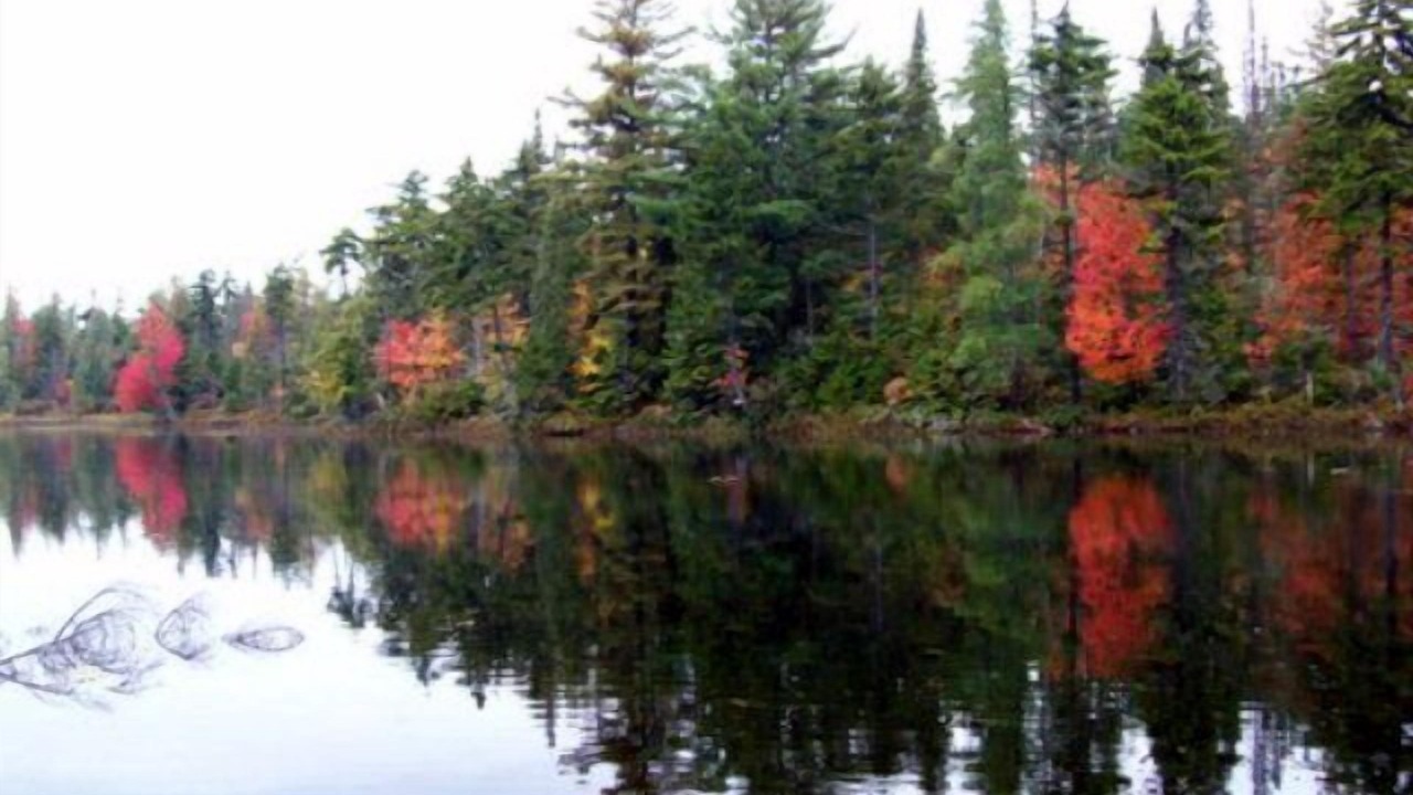 Photo of Outdoor in Lake Clear