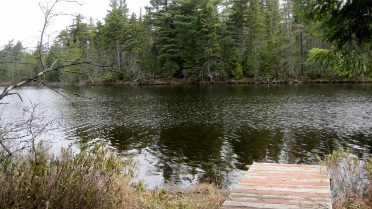 Photo of Outdoor in Lake Clear