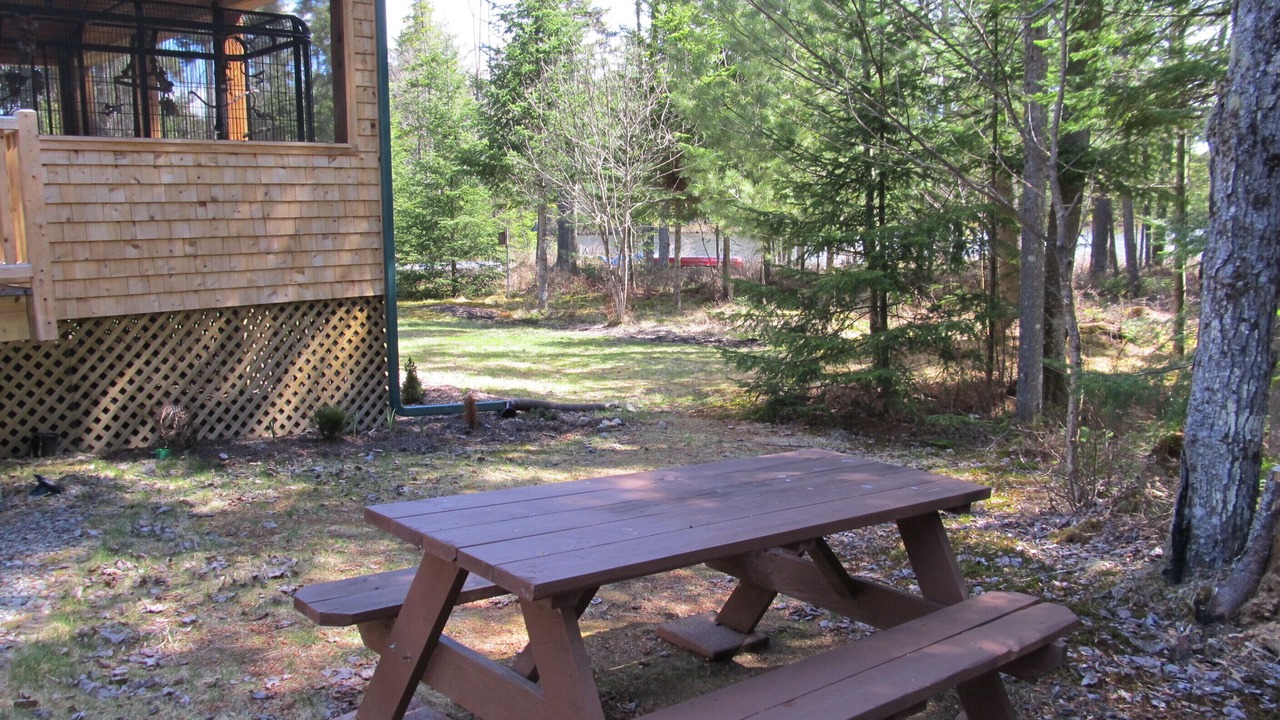 Photo of Outdoor in Lake Clear