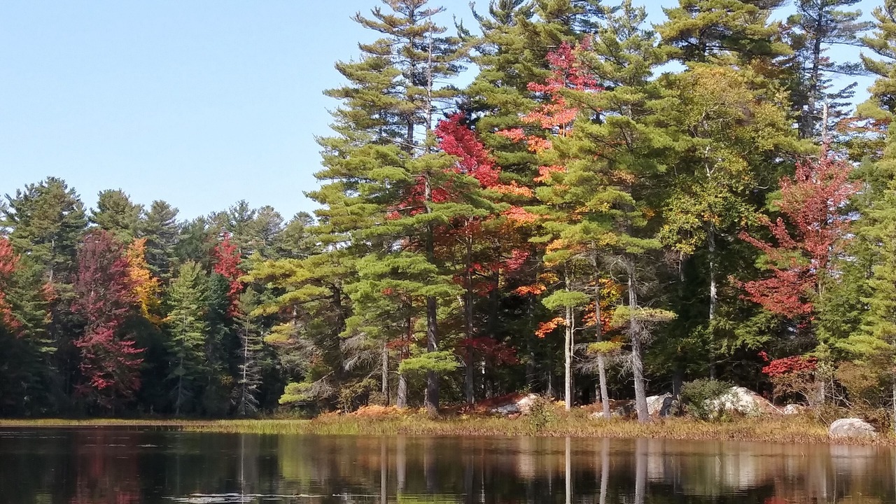 Photo of Outdoor in Lake Clear