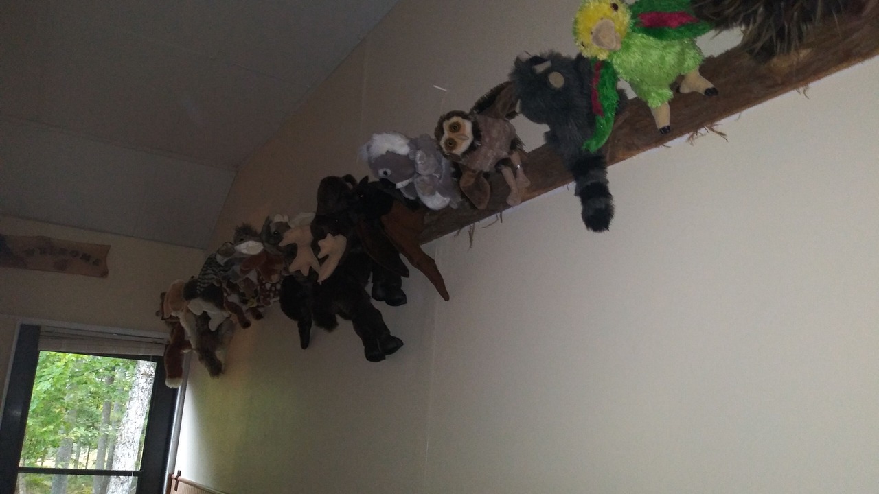 Photo of Others in Lake Clear