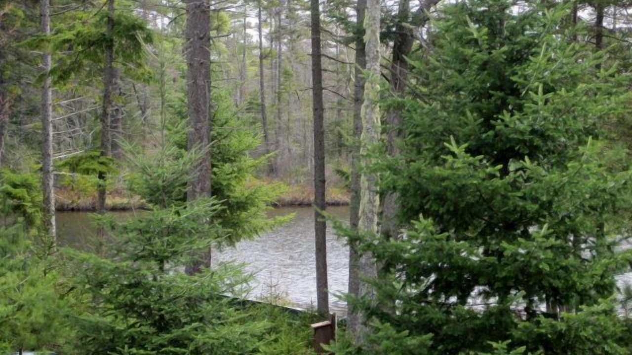 Photo of Outdoor in Lake Clear