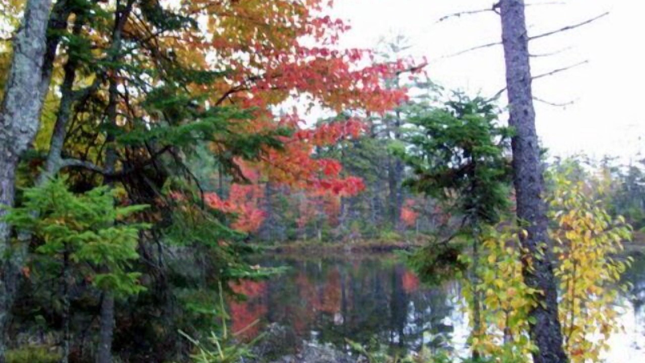 Photo of Outdoor in Lake Clear