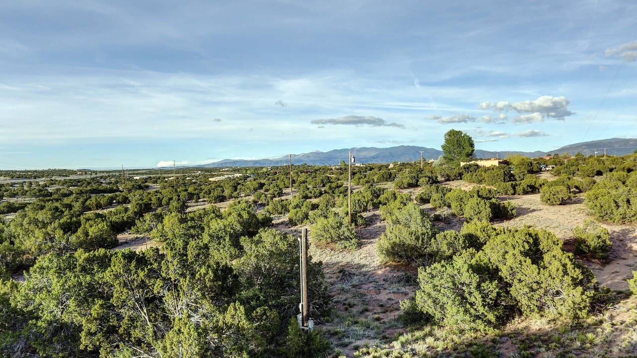 Photo of Outdoor in West Alameda