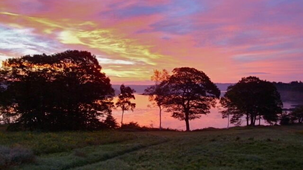 Photo of Others in Woolwich