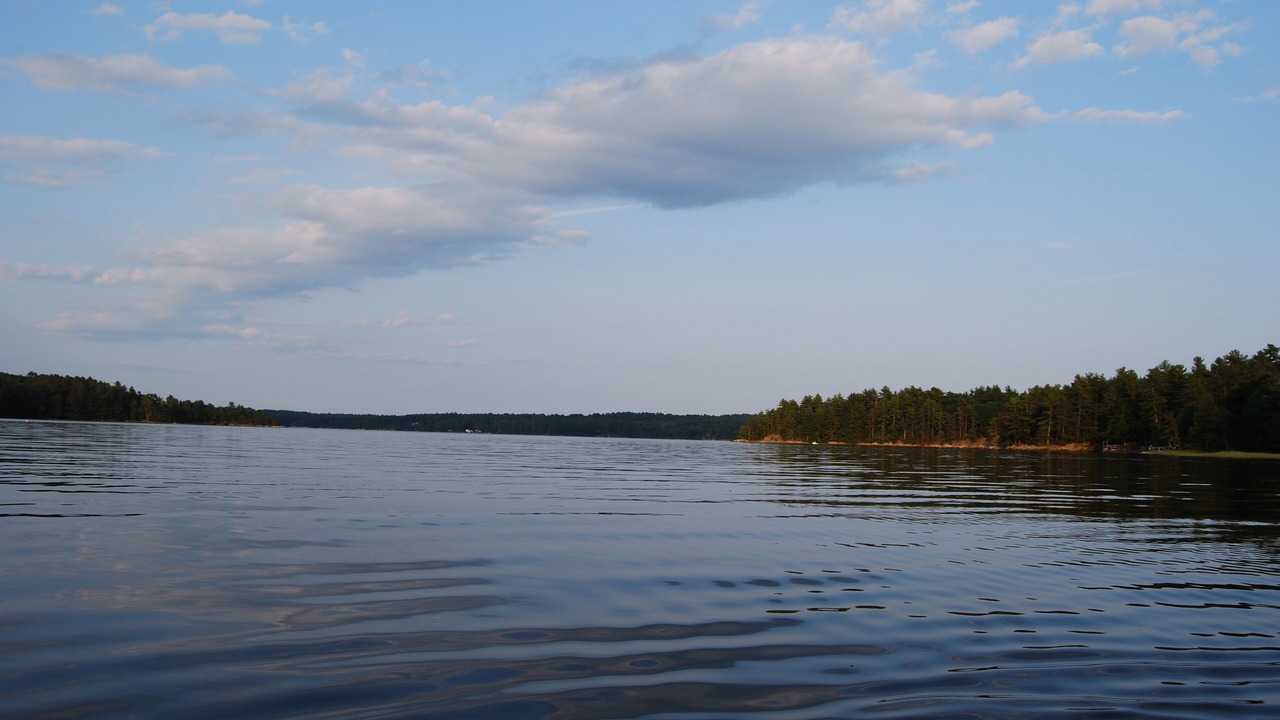 Photo of Others in Woolwich