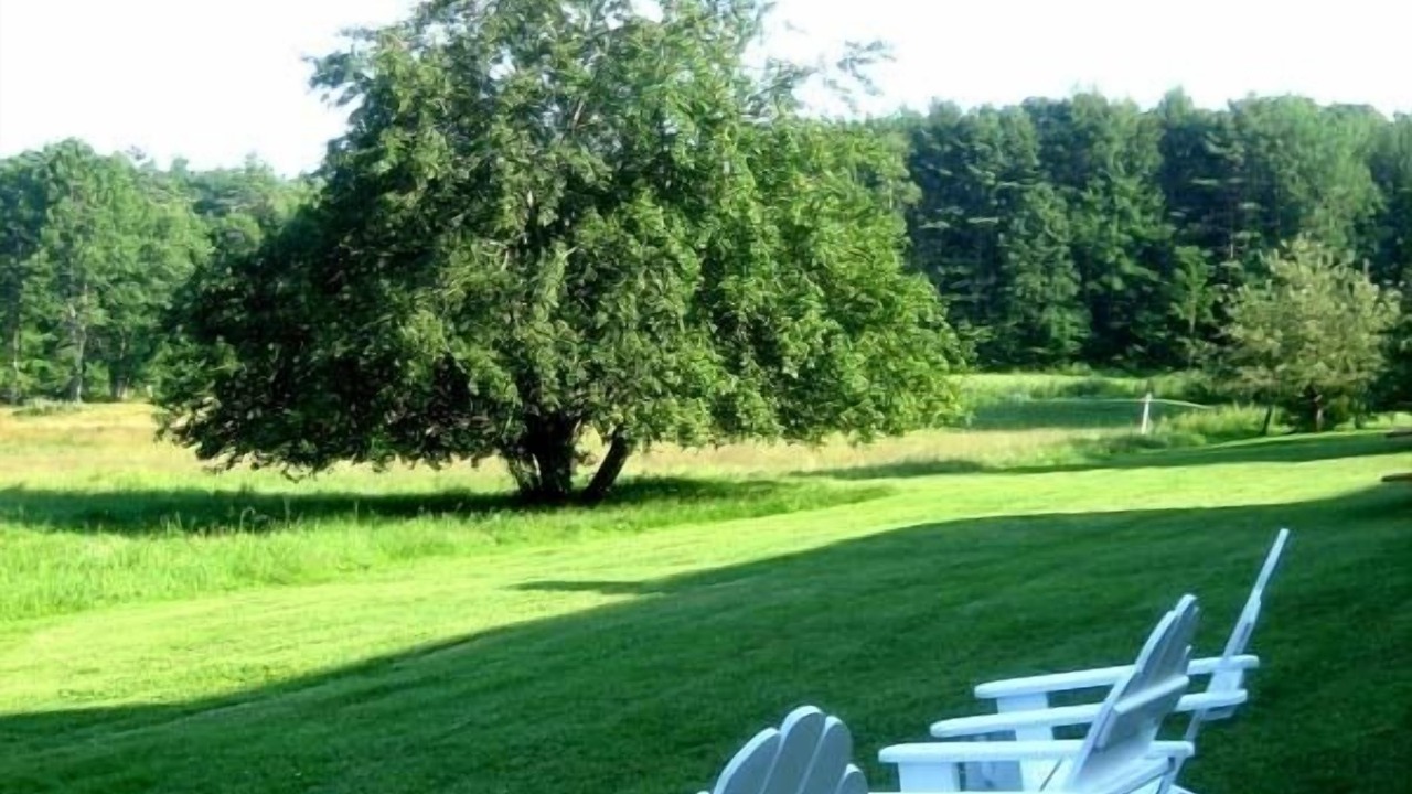 Photo of Others in Woolwich