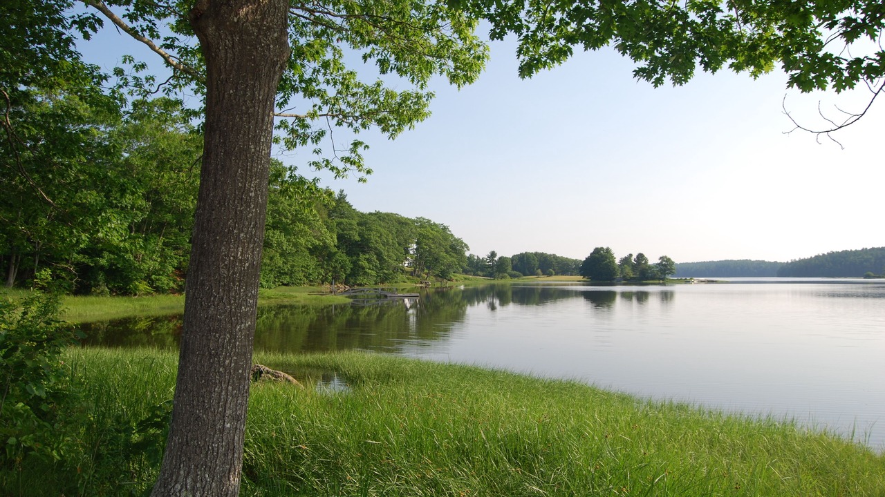 Photo of Others in Woolwich