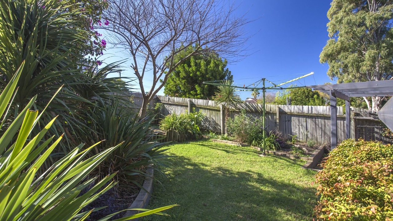 Photo of Others in Mollymook Beach