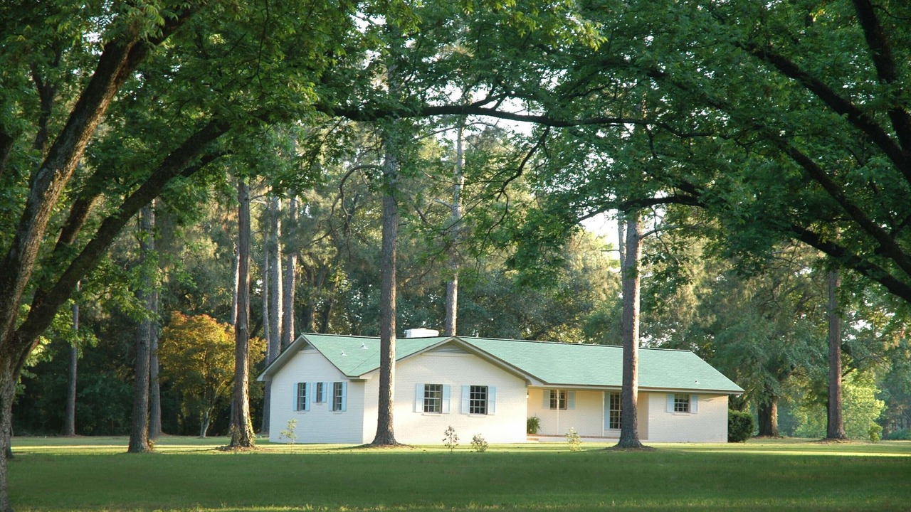 Photo of Others in Bainbridge