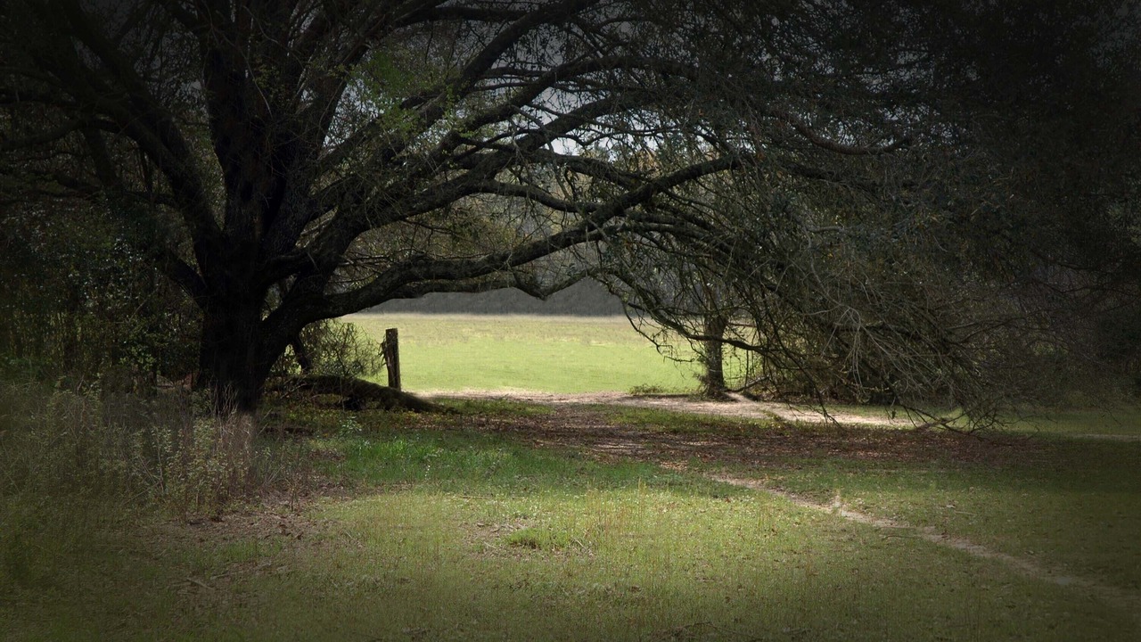 Photo of Others in Bainbridge