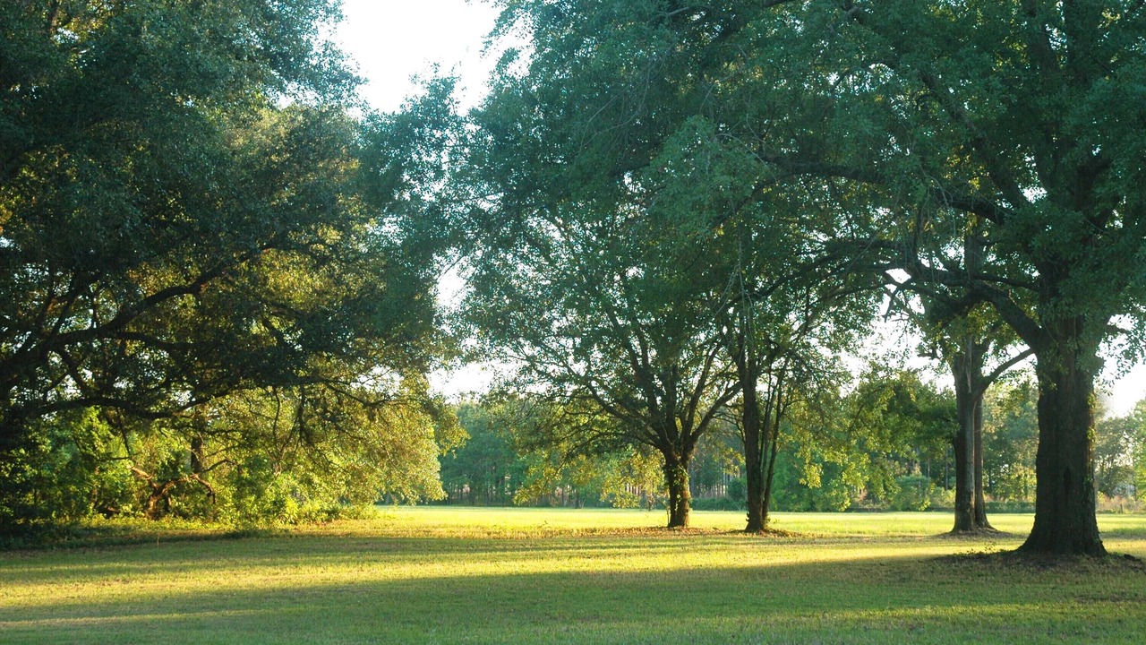 Photo of Outdoor in Bainbridge