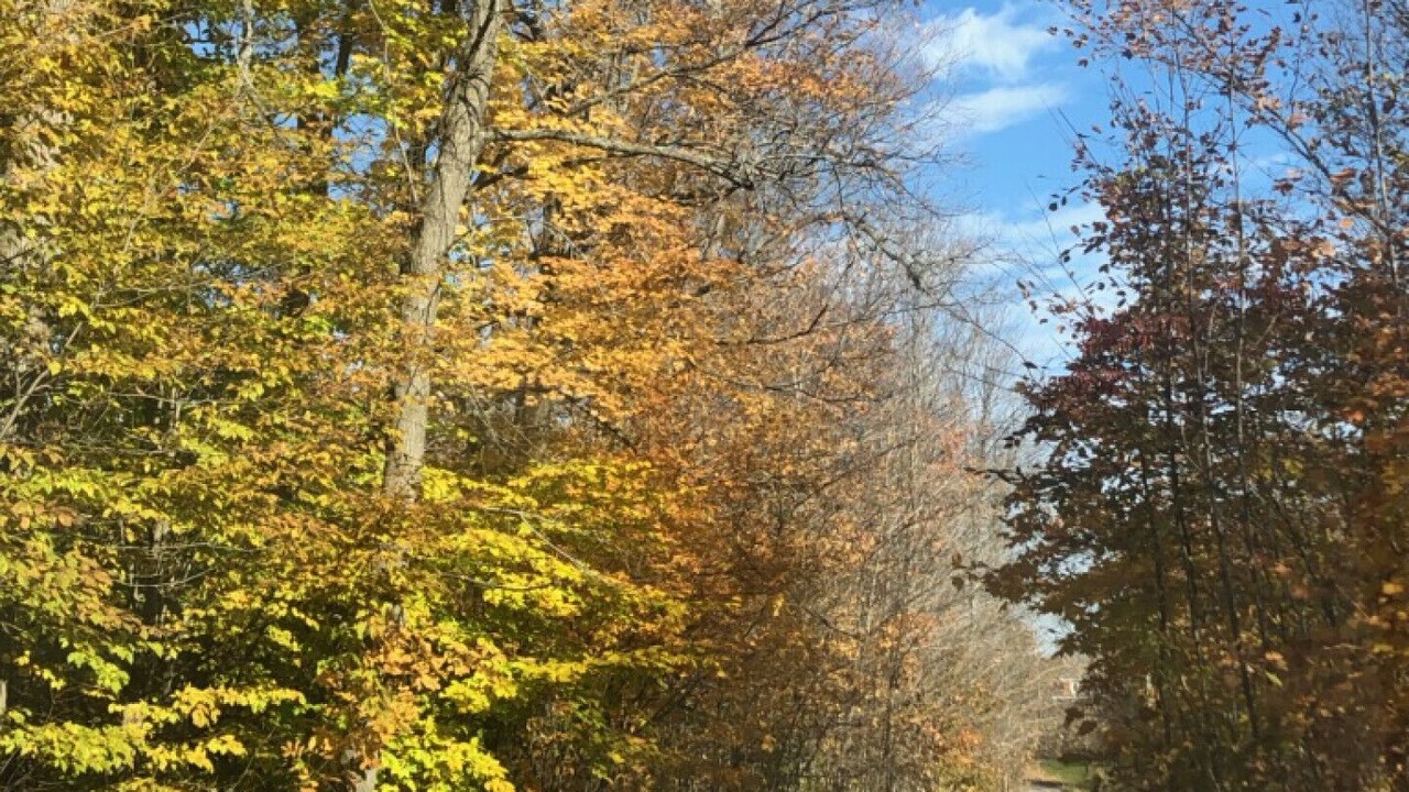 Photo of Others in Frontenac