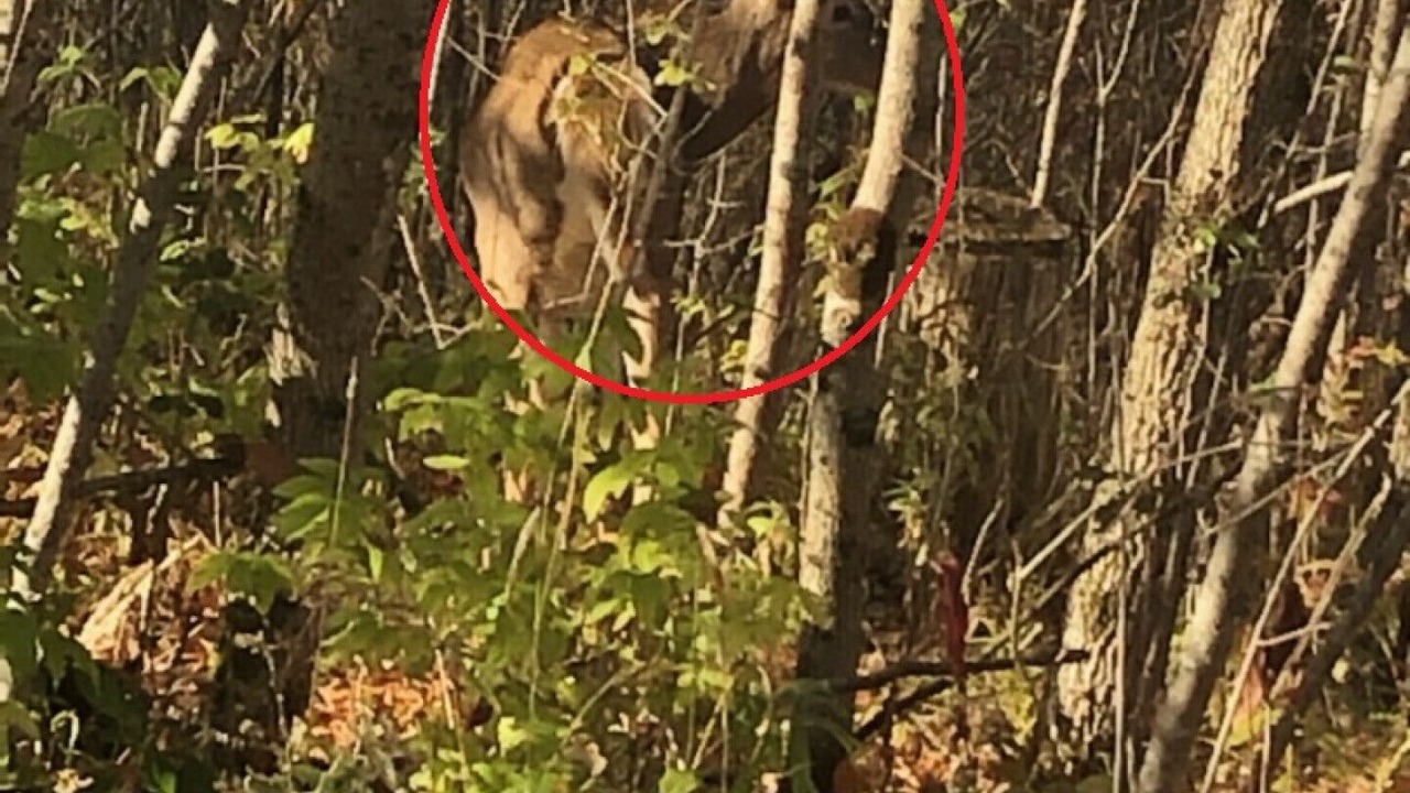 Photo of Others in Frontenac