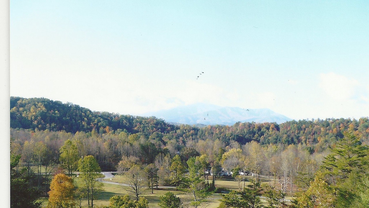 Photo of Others in Pittman Center