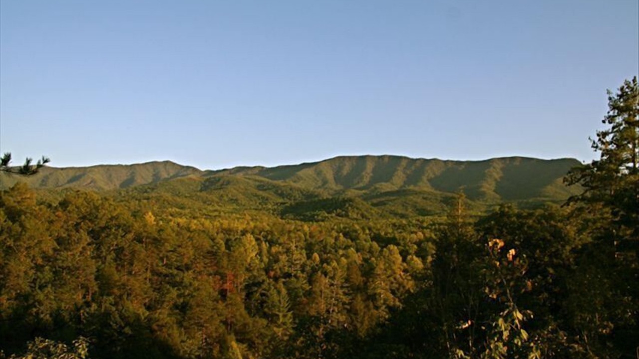 Photo of Others in Pittman Center