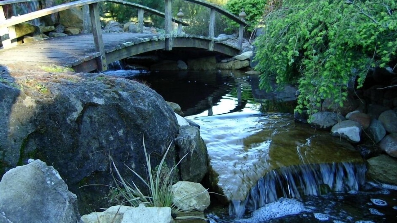 Photo of Others in Cambridge