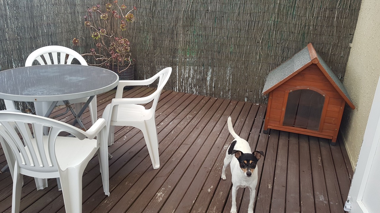 Photo of Others in Napier