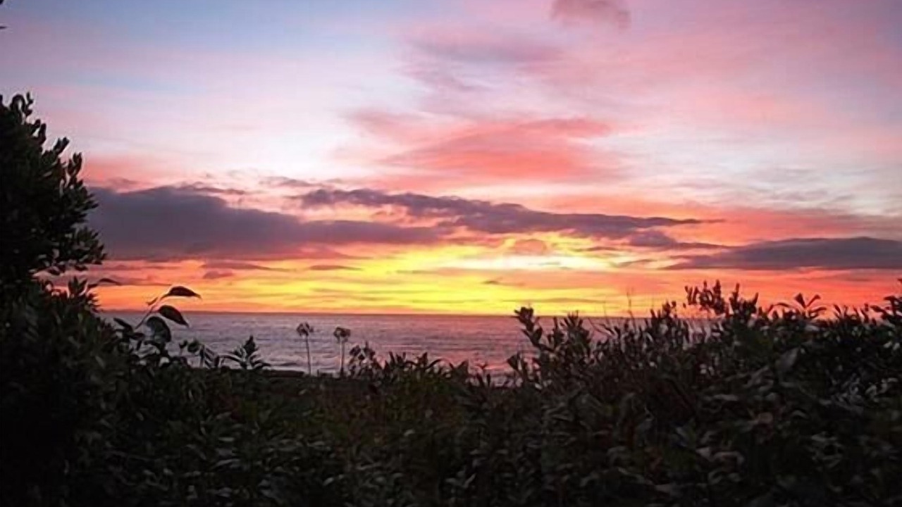 Photo of Others in Napier